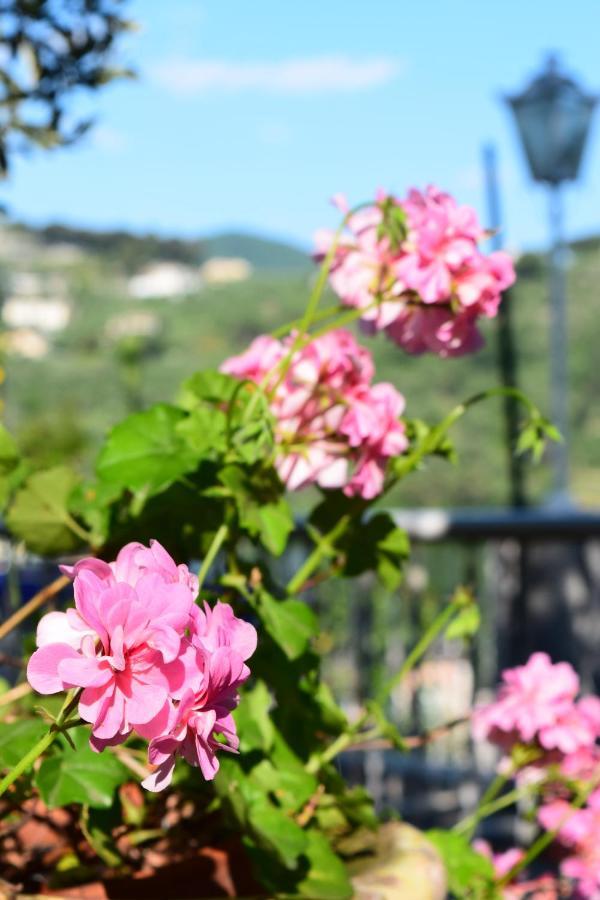 Villa Il Respiro Zoagli Luaran gambar